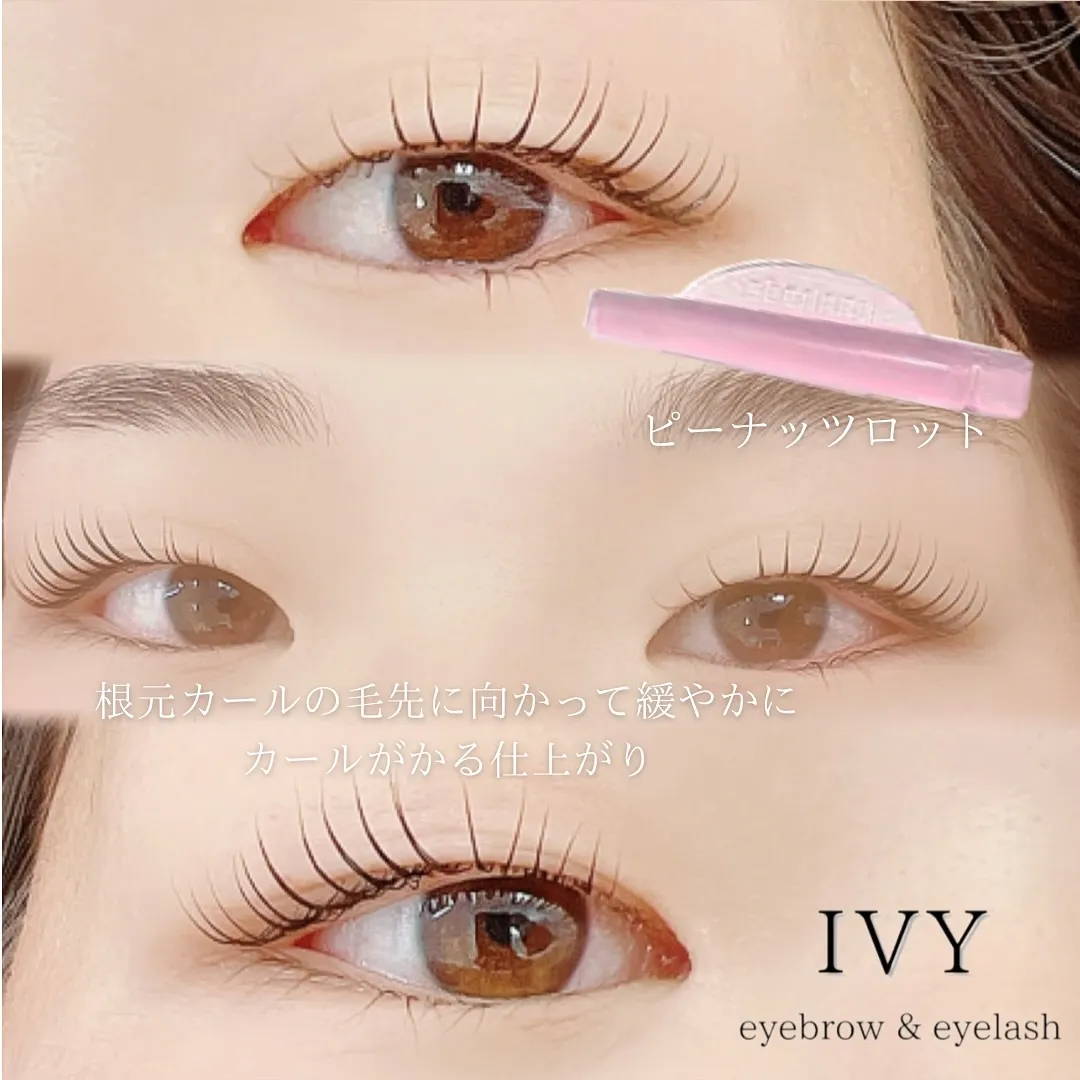 ✨ピーナッツロット✨