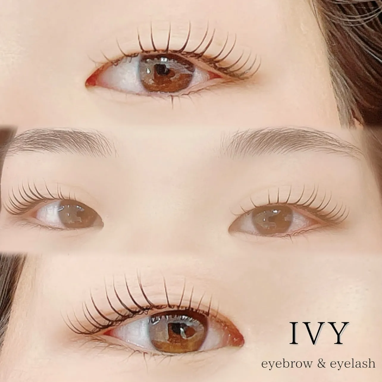 ✨ピーナッツロット✨