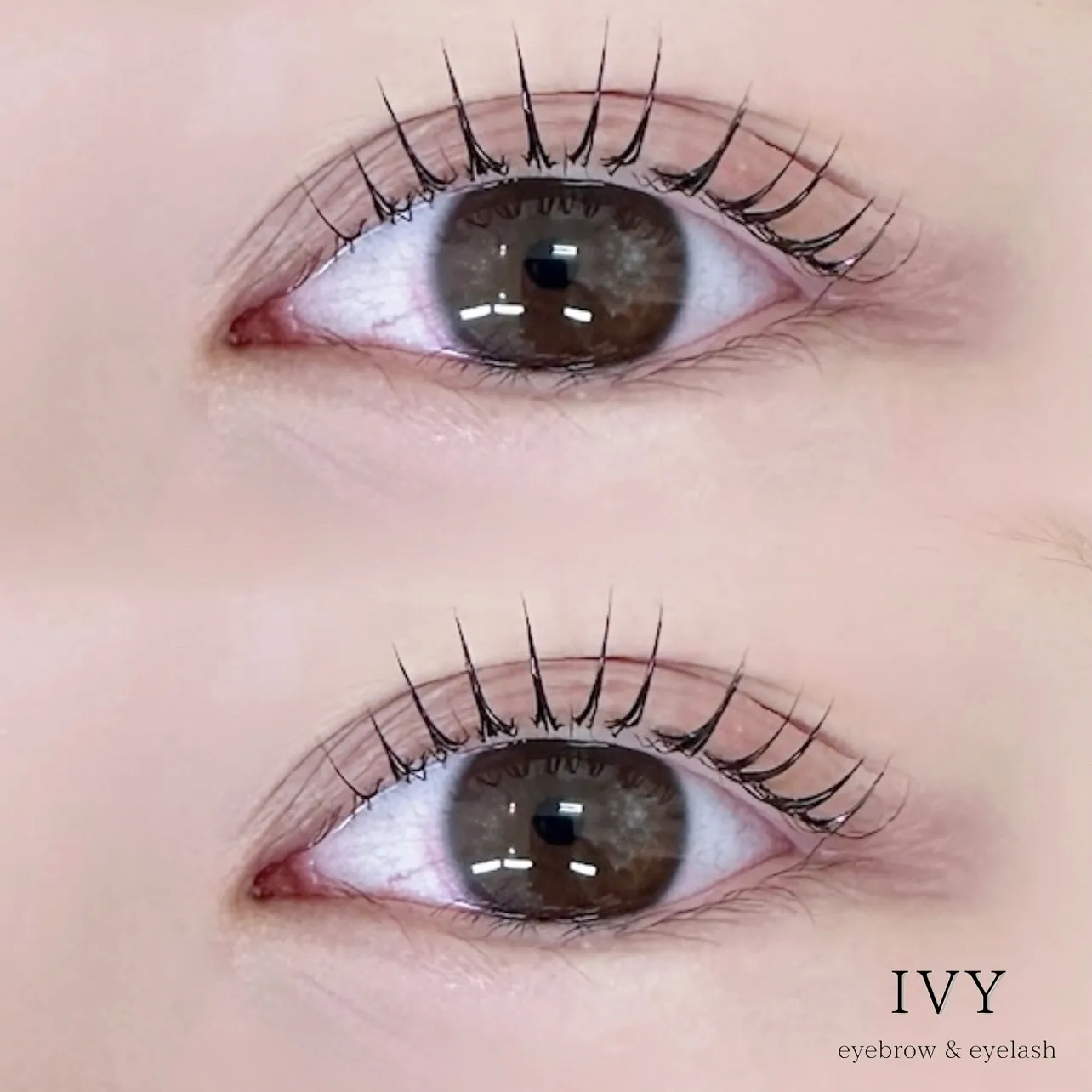 ✨ こんにちは✨