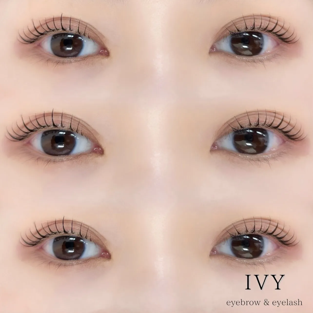 🌟シェルロット使用🌟