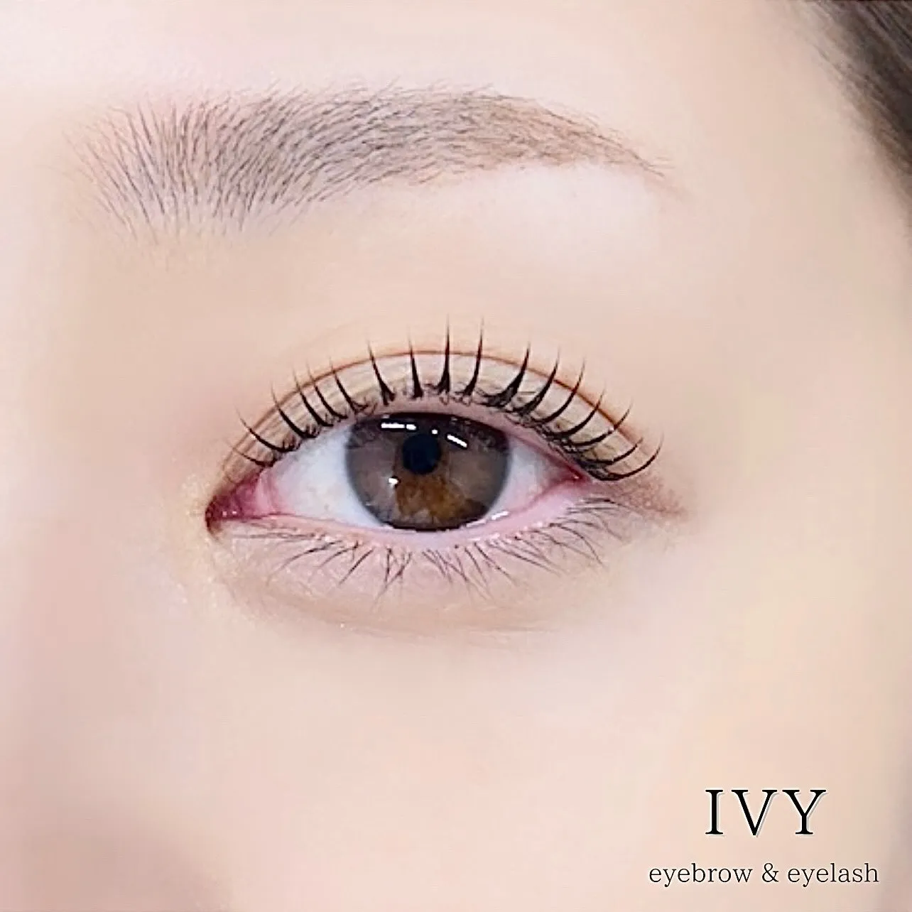 ✨「シェルロット」カールデザインで上品な美しさを手に入れませ...