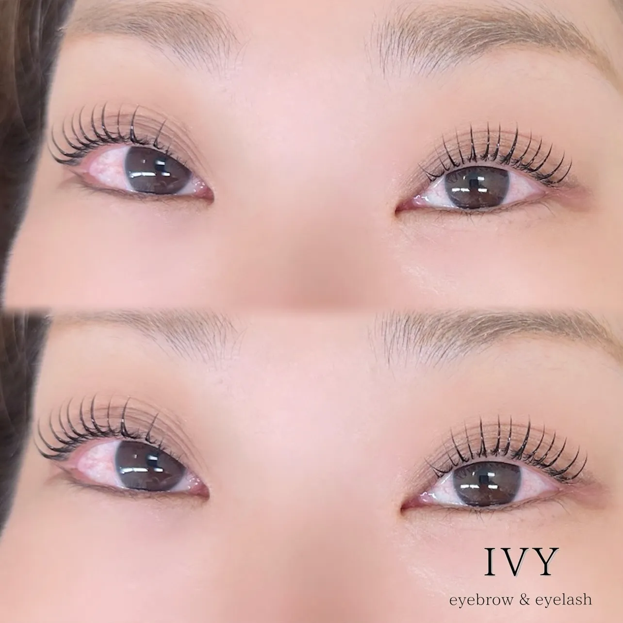 ✨今回は大人気の『シェルロット』をご紹介します✨