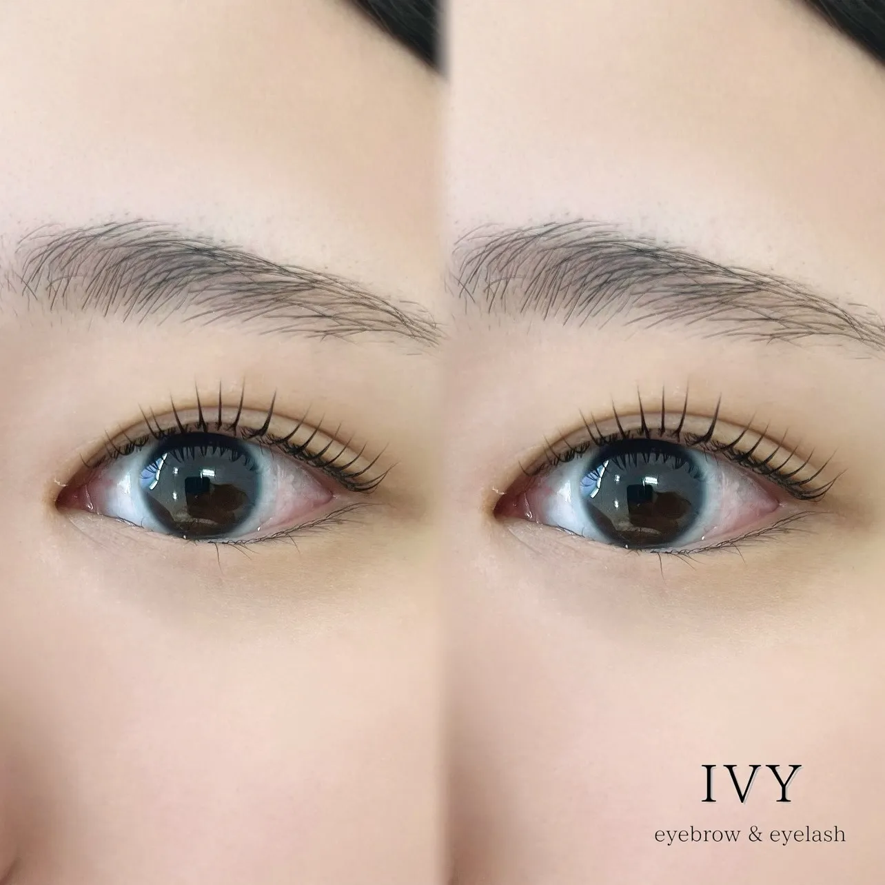 ✨注目のマシュマロロットご紹介✨