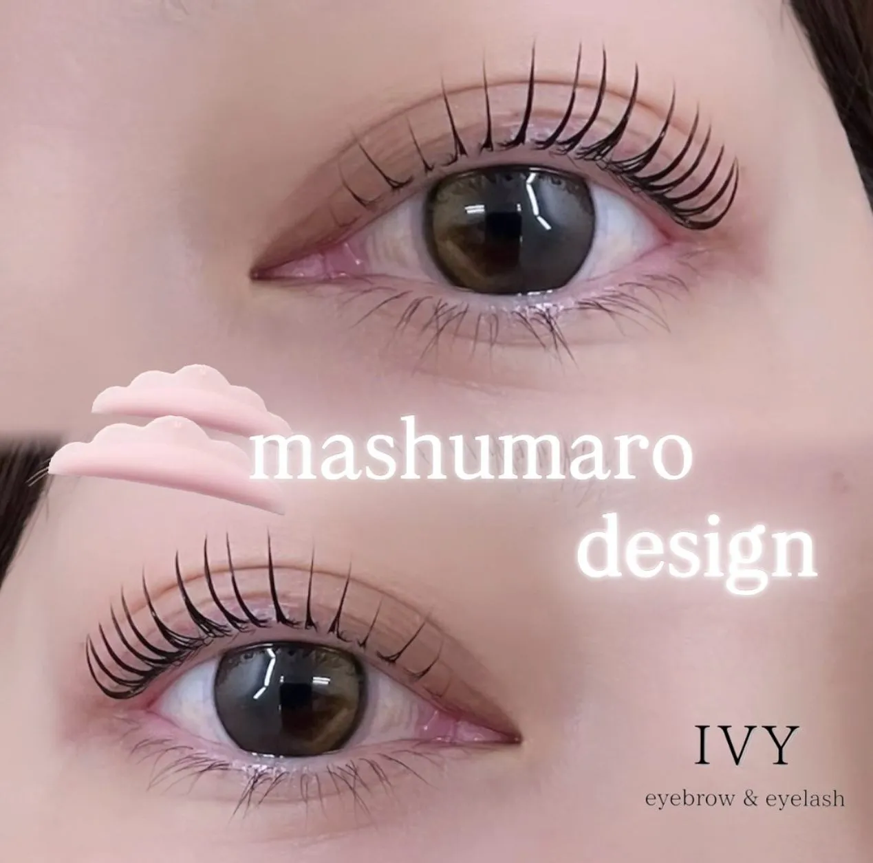 ✨🌟【マシュマロロットのご紹介】🌟✨