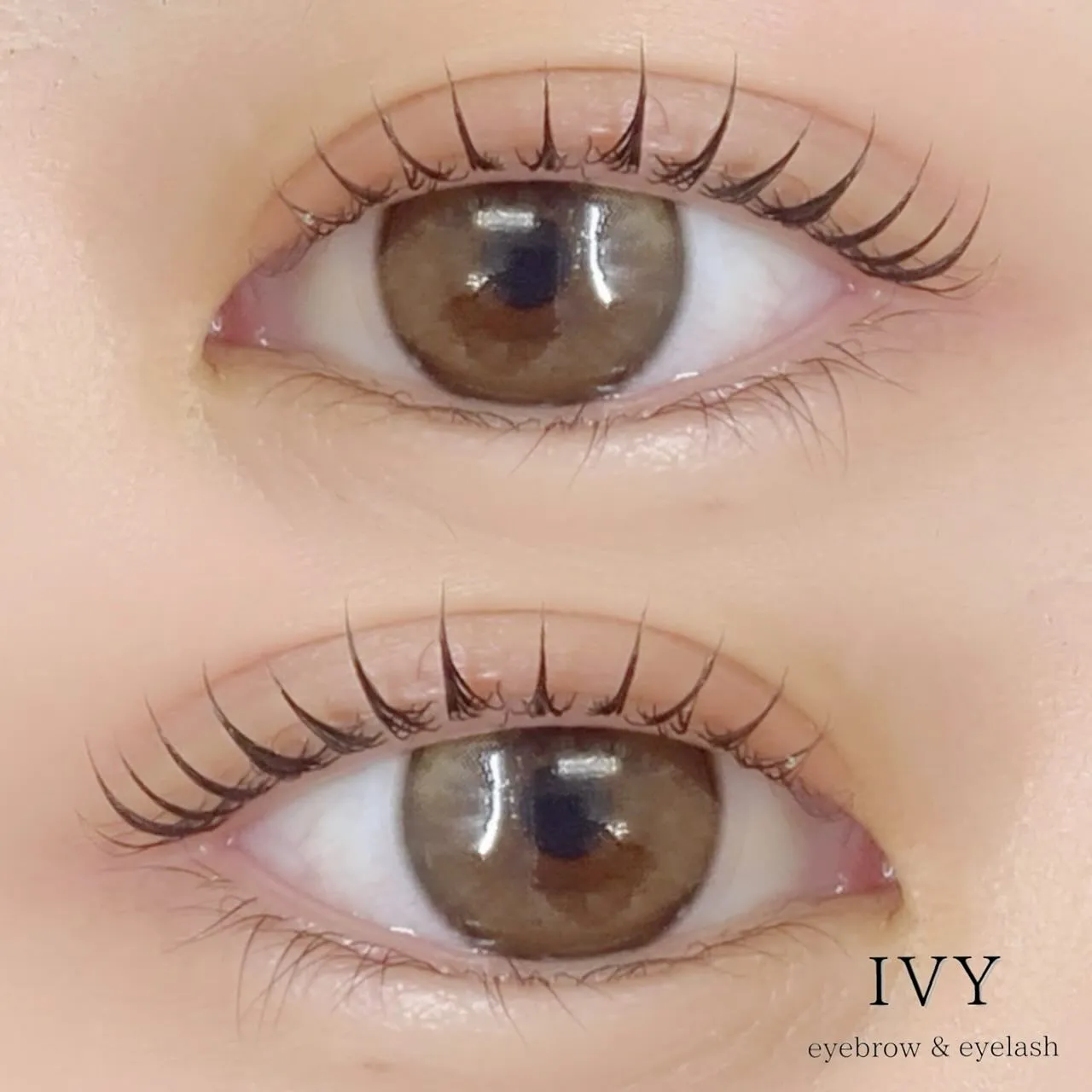 立ち上がりが美しいと評判の