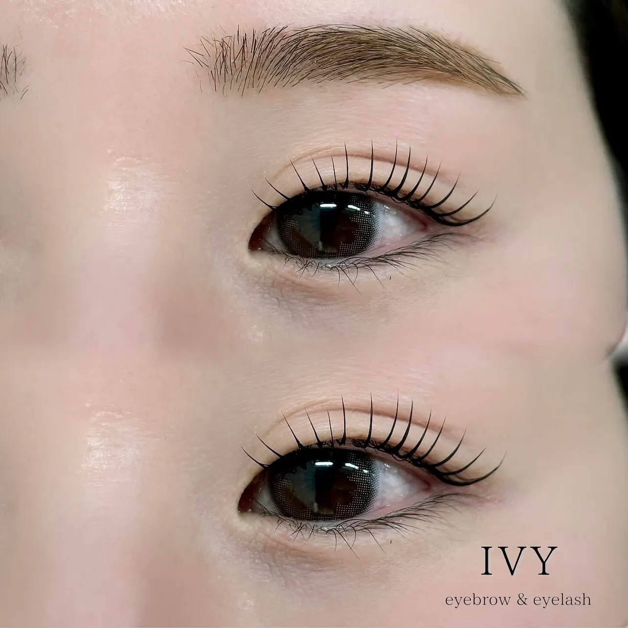 ✨目元の魅力を最大限に引き出す特別セットメニュー✨