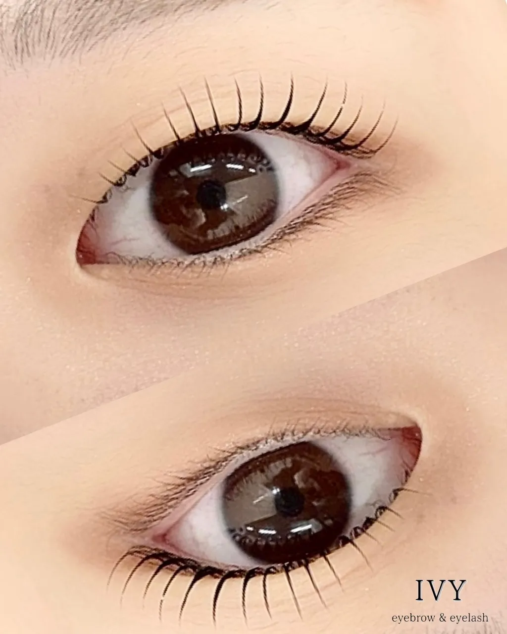 こんにちは、IVYへようこそ🌸