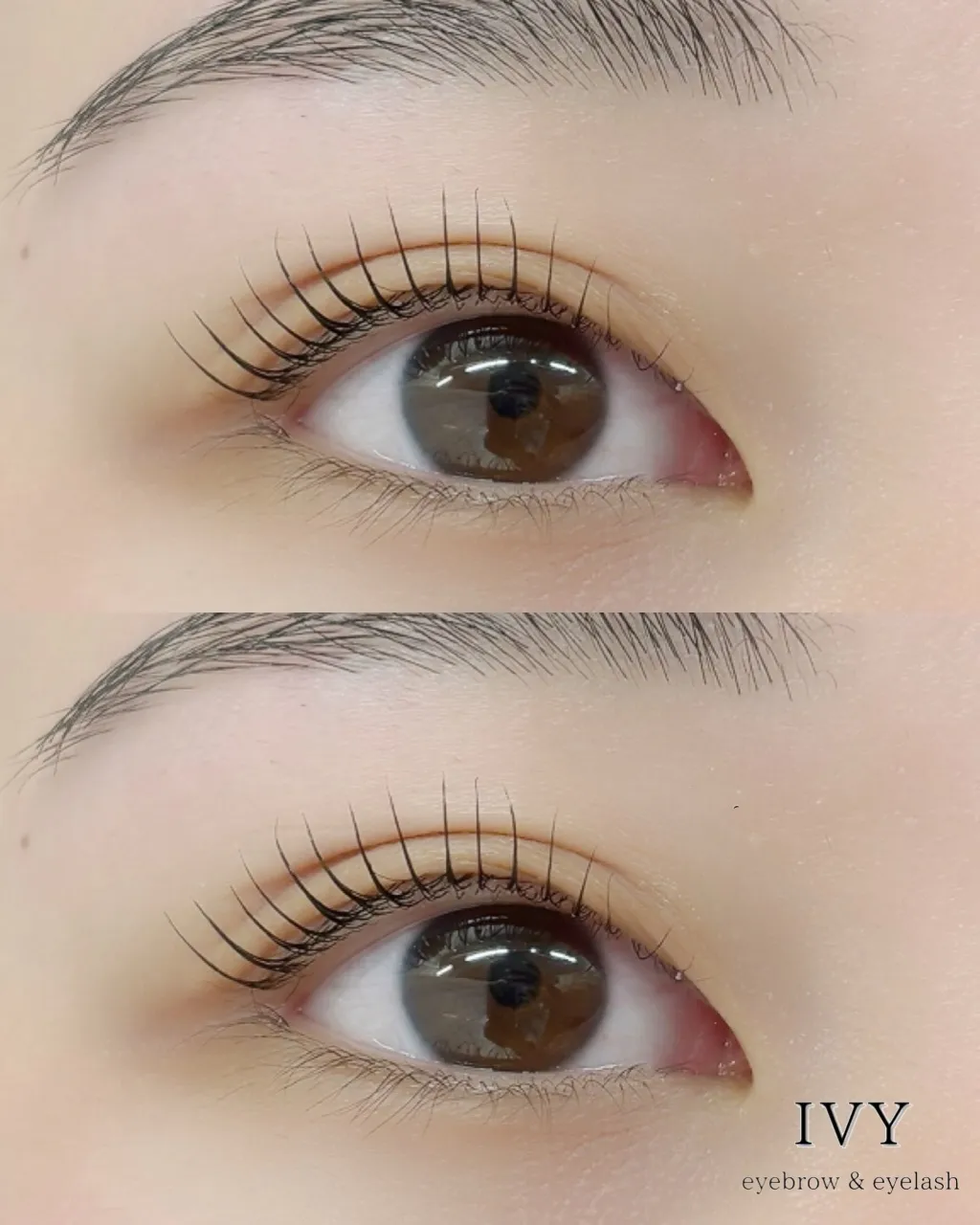 ✨当店の新しいデザイン✨