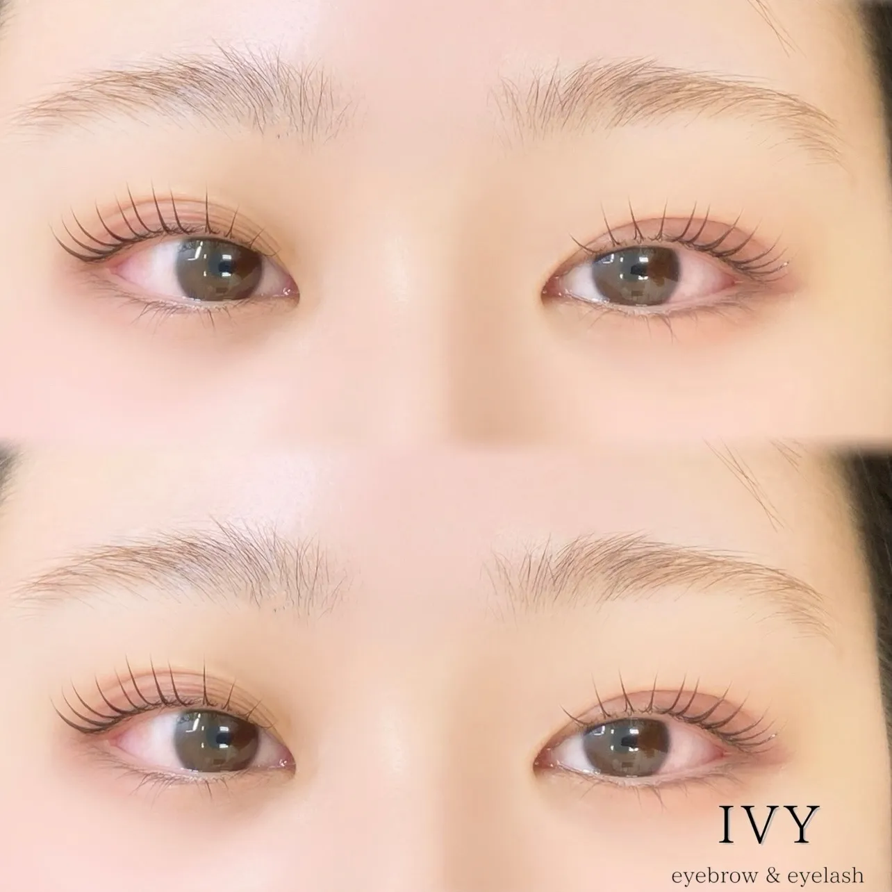 シェルロットのご紹介です🌟 