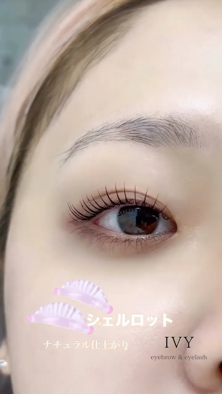 ✨シェルロットデザインでお目元にナチュラルな美しさをプラスし...